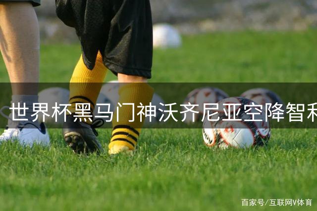 世界杯黑马门神沃齐尼亚空降智利 科洛科洛迎强援