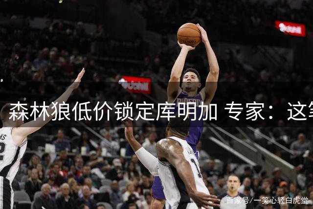 森林狼低价锁定库明加 专家：这笔签约超值