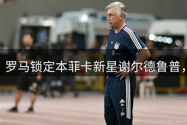 罗马锁定本菲卡新星谢尔德鲁普，世界杯闪耀引关注